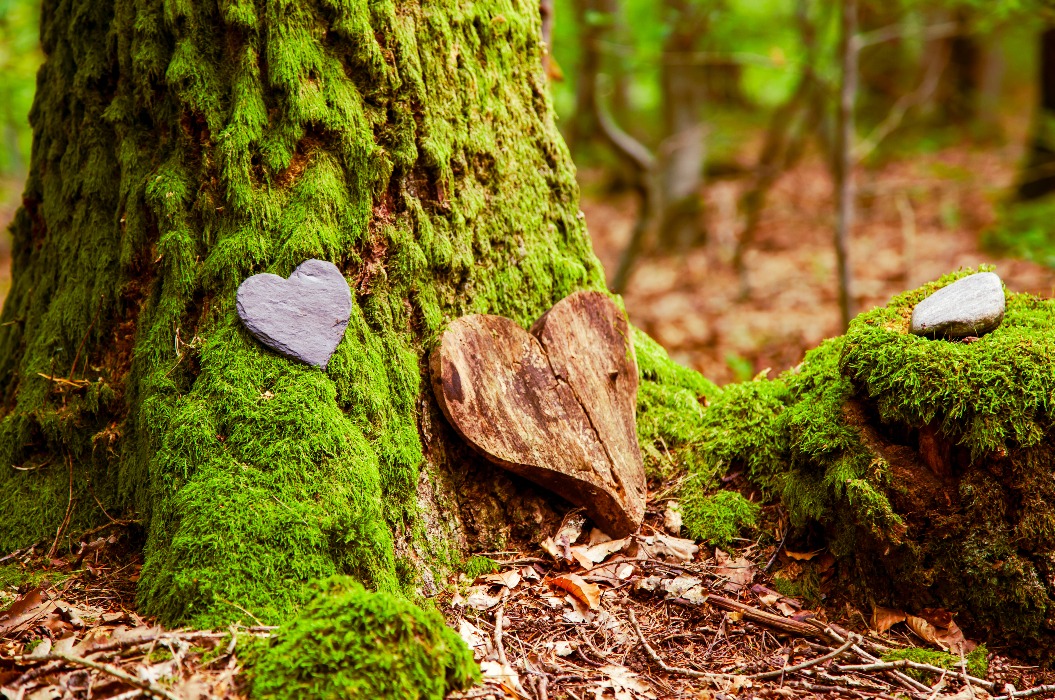 Baumstamm mit Herz aus Holz